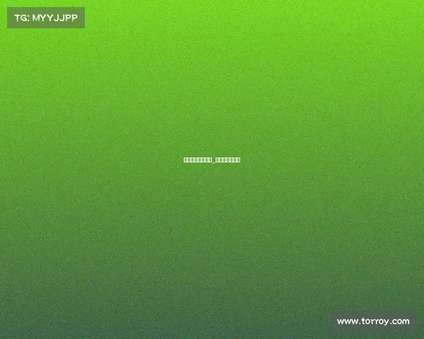 美国篮球各个赛事_美国的篮球联赛